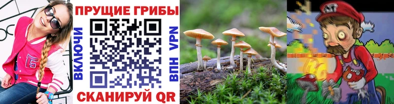 Псилоцибиновые грибы прущие грибы  купить закладку  Яранск 